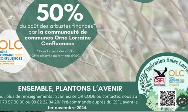 Opération haies lorraines avec OLC et CSFL